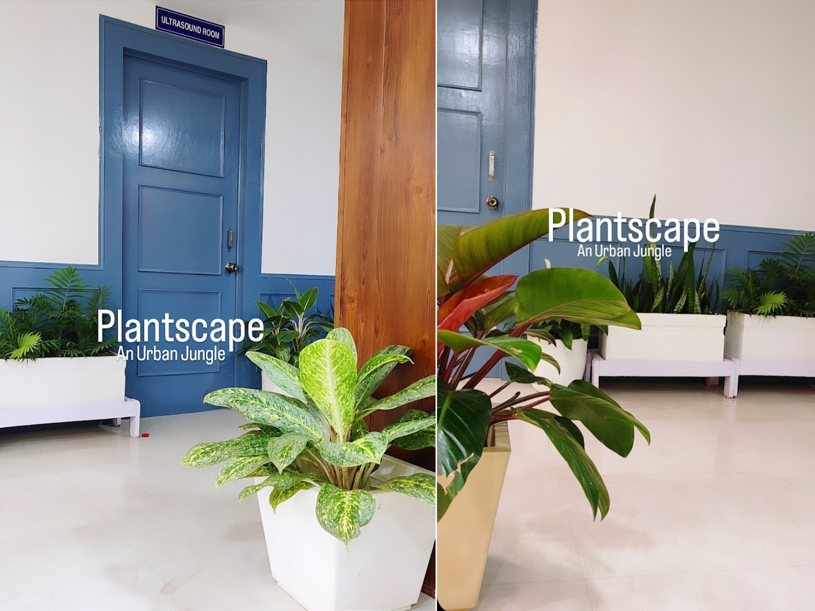 Gastrocity Guwahati - Main Building